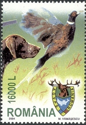 Cynegetics - The 51st General Assembly of the International Council for Game and Wildlife Conservation - Phasianus colchicus