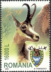 Cynegetics - The 51st General Assembly of the International Council  for Game and Wildlife Conservation  - Rupicapra rupicapra