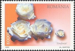 Romanian Roses - Simfonia