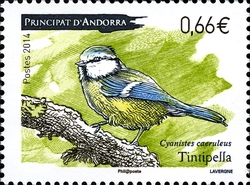 Eurasian Blue Tit