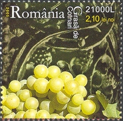 Viticulture - the variety Grasa de Cotnari
