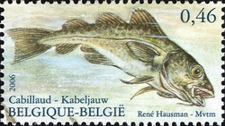 Nature - Fishes of the North Sea - Cod