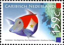 Constitution New Beginning - Blue Tang Surgeonfish