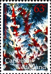 Corals - Red Finger Gorgonian