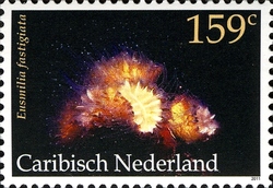 Stamp, Corals - Smooth Flower Coral, Caribbean Netherlands,  