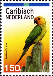 Birds - Brown Throated Parakeet