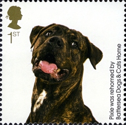 150th Anniversary of Battersea Dogs and Cats Home - Pixie was rehomed by Battersea Dogs and Cats Home