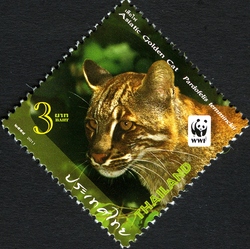 WWF - Wild Animals - Asiatic golden Cat