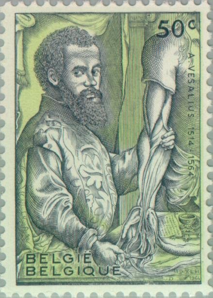 André Vésal