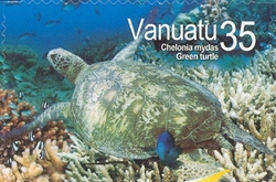 Underwater Paradise - Green turtle
