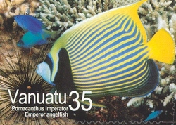 Underwater Paradise - Emperor angelfish