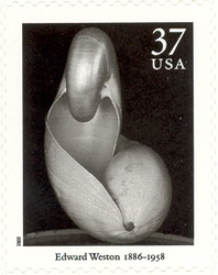 Masters of American Photography - Weston (1886-1958)
