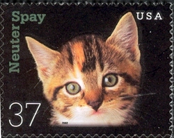 Neuter or Spay