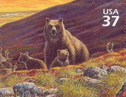 Nature of America - Arctic Tundra - Grizzly Bear
