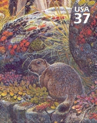 Nature of America - Arctic Tundra - Arctic Ground Squirrel