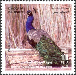 Stamp, World Environment Day 2003 - Peacock, Bahrain,  