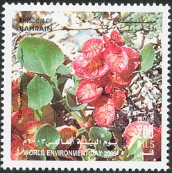 World Environment Day 2003 - Rumex Vesicarius