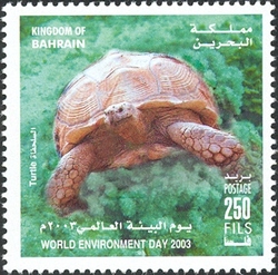 World Environment Day 2003 - Turtle