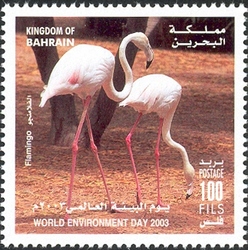 World Environment Day 2003 - Flamingo
