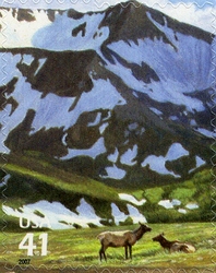 Nature of North America - Alpine Tundra - Elk (Wapiti)