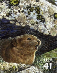 Stamp, Nature of North America - Alpine Tundra - American Pika, United States of America,  