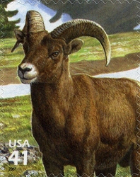 Stamp, Nature of North America - Alpine Tundra - Bighorn Sheep, United States of America,  