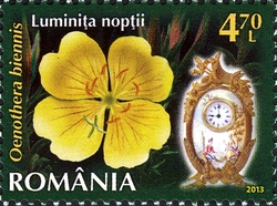 Stamp, Flowers Clock II - Common Evening Primrose (Oenothera biennis L.), Romania,  
