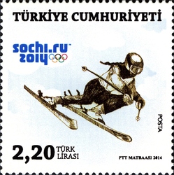 Sochi Winter Olympics