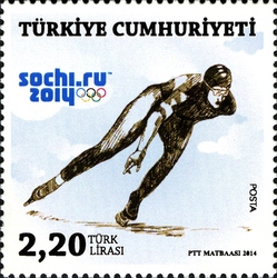 Sochi Winter Olympics