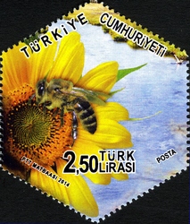 World Environment Day - Bees