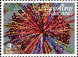 New Year 2012