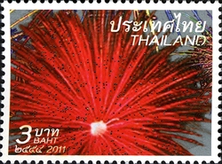 New Year 2012