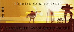 100th Anniversary of the Battle of Gallipoli