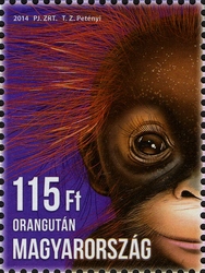 Stamp, Animal Cubs - Orangutan, Hungary,  