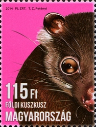 Stamp, Animal Cubs - Ground Cuscus, Hungary,  