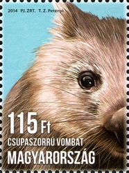 Stamp, Animal Cubs - Common Wombat, Hungary,  