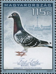 34th Racing Pigeon Olympiad