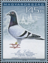 34th Racing Pigeon Olympiad