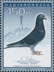 34th Racing Pigeon Olympiad