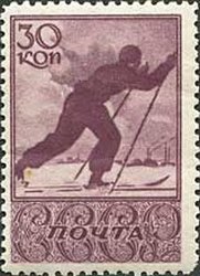The skier
