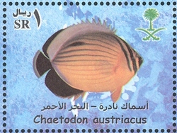 Stamp, Rare Fish of the Red Sea - Chaetodon austriacus, Saudi Arabia,  