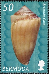 Stamp, Bermudan Shells - Bermuda Cone, Bermuda,  