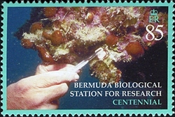 100th Anniversary of Bermuda Biological Station for Research