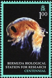 100th Anniversary of Bermuda Biological Station for Research