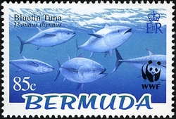 WWF - Bluefin Tuna