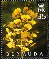 50th Anniversary of Bermuda Orchid Society