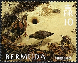Bermuda Habitats