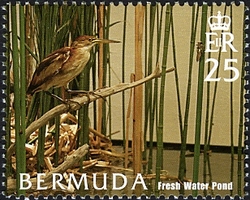 Stamp, Bermuda Habitats, Bermuda,  