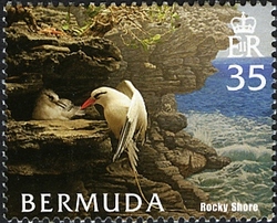 Stamp, Bermuda Habitats, Bermuda,  