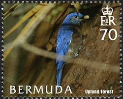 Bermuda Habitats